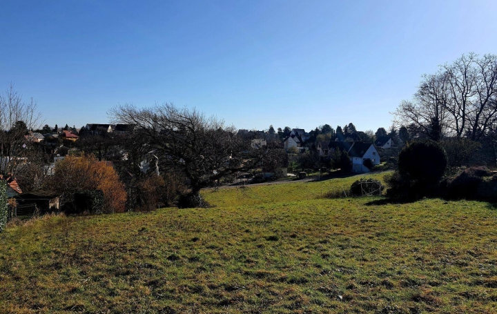 Alsace & Azur Immobilier : Terrain | SAVERNE (67700) | 0 m2 | 119 000 € 