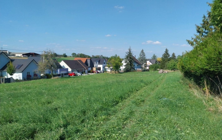 Alsace & Azur Immobilier Terrain | RANGEN (67310) | 0 m2 | 91 065 € 