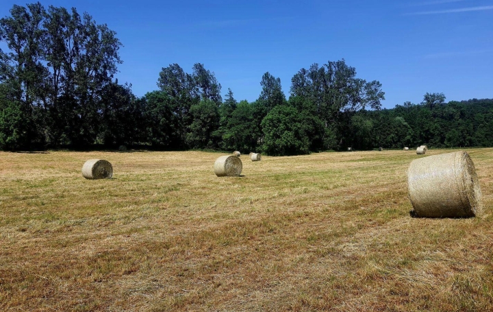  Alsace & Azur Immobilier Terrain | HENGWILLER (67440) | 0 m2 | 68 370 € 