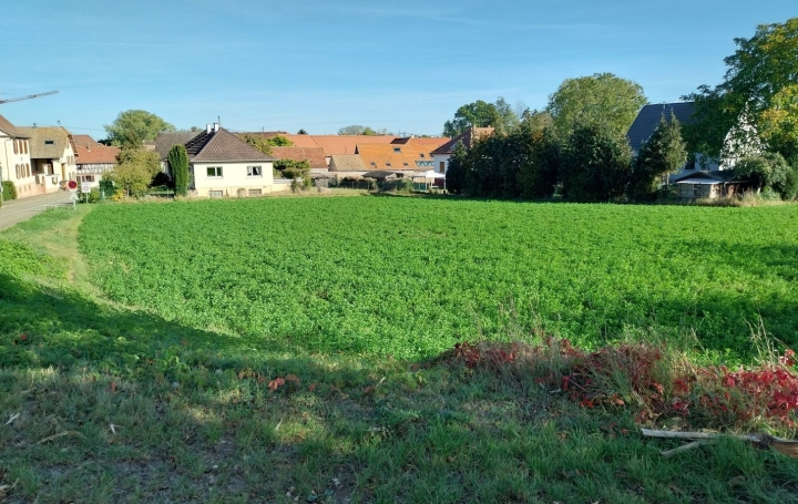  Alsace & Azur Immobilier Terrain | HANDSCHUHEIM (67117) | 0 m2 | 244 520 € 