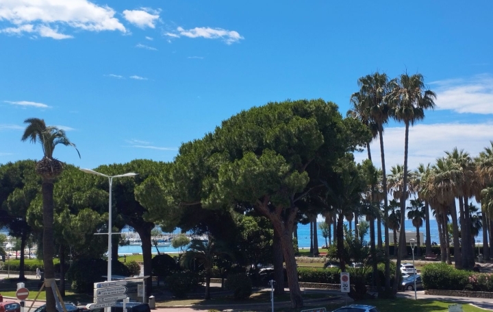  Alsace & Azur Immobilier Appartement | CANNES (06400) | 73 m2 | 2 120 000 € 