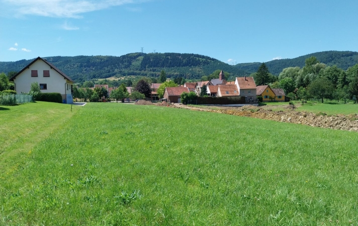  Alsace & Azur Immobilier Terrain | HENGWILLER (67440) | 0 m2 | 38 000 € 