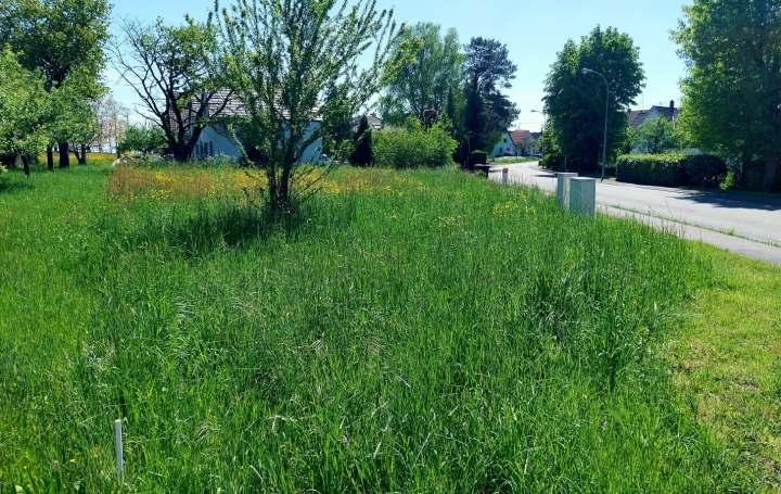  Alsace & Azur Immobilier Terrain | BERNOLSHEIM (67170) | 0 m2 | 224 680 € 