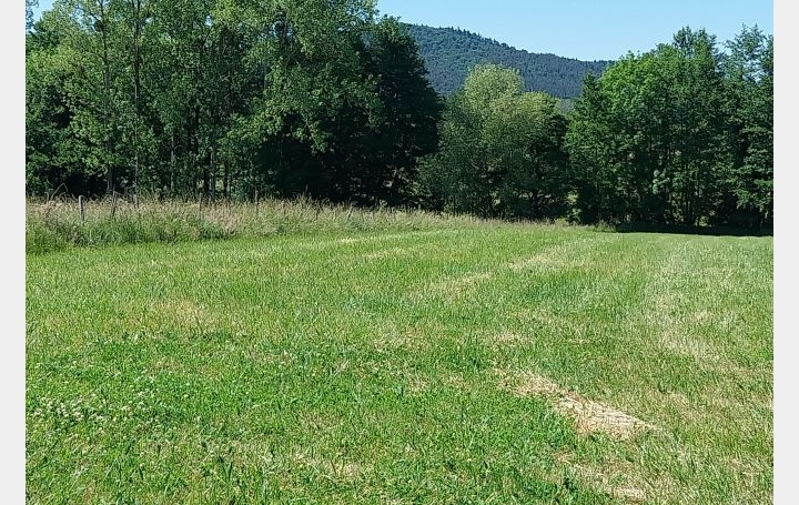  Alsace & Azur Immobilier Terrain | HENGWILLER (67440) | 0 m2 | 49 800 € 